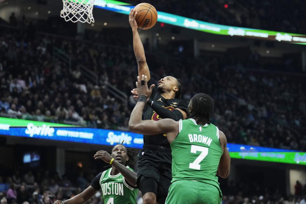 他们巧妙地 他们巧妙地